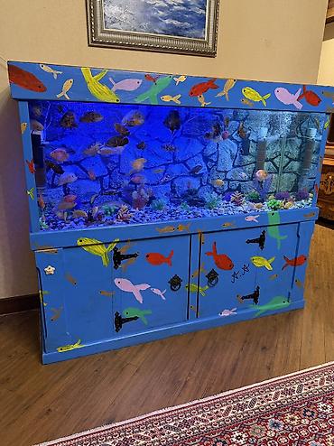 Akvariumlar: Продается аквариум 2 м с рыбами все вместе рыбы декор и — 5