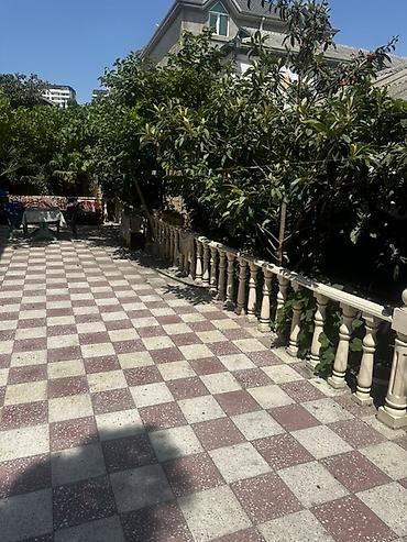 culyan kendinde kiraye evler: 7 otaqlı, 220 kv. m, Yeni təmirli — 2