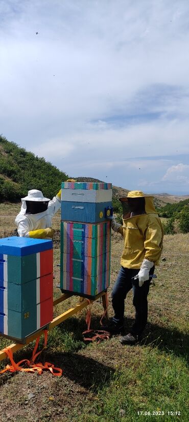 Bal: Elf bee's 1977 eco product for health and longevity tovuzun -da lalafo.az — 15 Bal: Elf bee's 1977 eco product for health and longevity tovuzun — 15