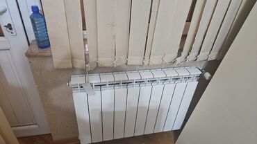 Radiatorlar: Seksiyalı Radiator