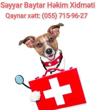 Çaydanlar: Zoo həkim xidməti Tibb-baytarlıq xidmətləri Bakı şəhəri uzre unvanlara