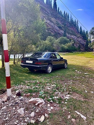 марат авто: Mercedes-Benz E-Class: 1992 г., 2.2 л, Механика, Бензин, Седан — 8