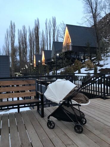 толокары для детей: Коляска