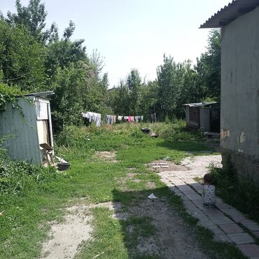 дом село дмитревка: Дача, 40 м², 2 комнаты, Собственник