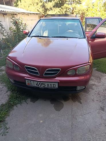 nisa: Nissan Primera: 2000 г., 1.8 л, Механика, Бензин, Универсал — 4