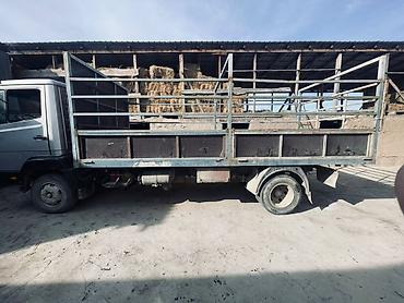 Mercedes-Benz: Mercedes-Benz : 1992 г., 6 л, Механика, Дизель — 3