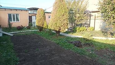 Продажа коттеджей и домов: Продажа коттеджей и домов — 2