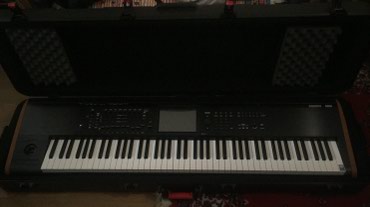 детский синтезатор: Korg Kronos 2 88 
Профессиональная рабочая станция