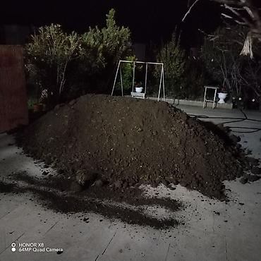 caxmaq daşı: Qara meşə torpağı,kübrə əvəzi Yanmış peyin Şamaxı İsmayıllı — 5