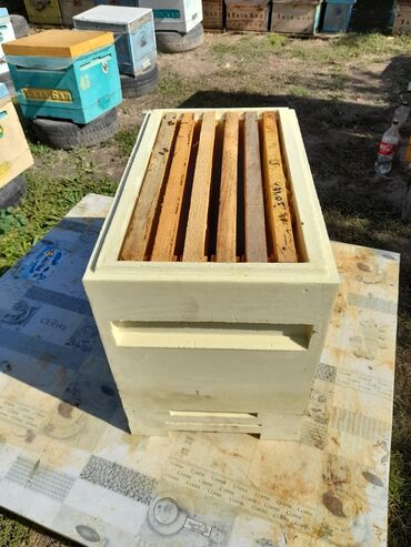 Мёд: Пенополиуретановые ульи (ППУ). 6,10 и 12ти рамочные ппу ульи — 14