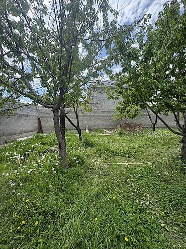 Продажа участков: 6 соток, Для строительства, Красная книга, Тех паспорт, Договор купли-продажи — 4