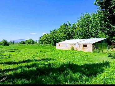 Torpaq sahələrinin satışı: Kənd təsərrüfatı — 1