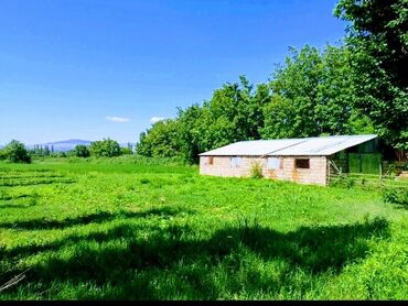 Torpaq sahələrinin satışı: 82 sot, Kənd təsərrüfatı, Mülkiyyətçi, Kupça (Çıxarış) — 1