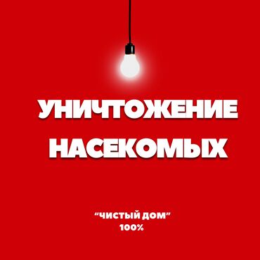 уничтожение клопов и тараканов: Дезинфекциялоо, дезинсекциялоо, | Канталалар, Бүргөлөр, Таракандар, | Транспорт, Офистер, Батирлер