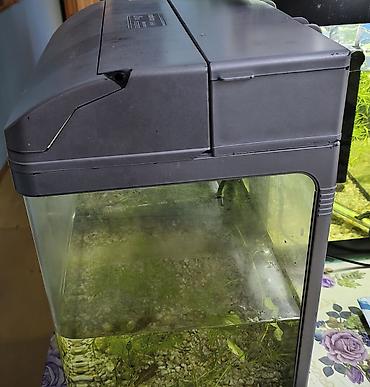 akvarium qızdırıcı: Dördbucaq akvarium, Boş, 20 l — 2