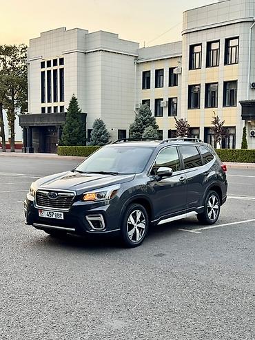 суббару форестер: Subaru Forester: 2020 г., 2.5 л, Вариатор, Бензин, Кроссовер — 2