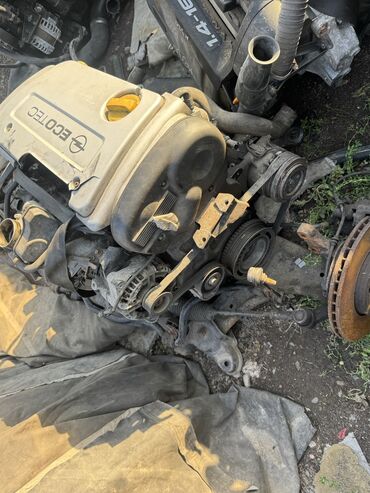 Двигатели, моторы и ГБЦ: Бензиновый мотор Opel 2003 г., 1.6 л, Б/у, Оригинал, Германия — 4