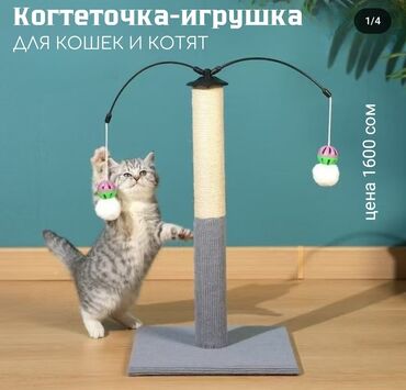 кыргыз добет: ✨ Подарите вашему котику радость и здоровые когти! ✨ 🐾 Увлекательная