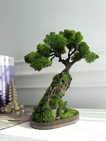 Другой декор и предметы интерьера: Декоративное дерево бонсай, выполненное из стабилизированного мха — 26