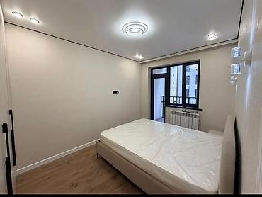 толстого: 2 комнаты, 55 м², ул. Лев Толстой Элитка, 6 этаж, Евроремонт — 6