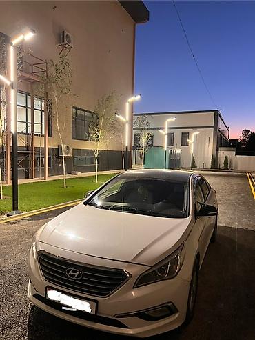 sonata uf: Hyundai Sonata: 2015 г., 2 л, Автомат, Бензин, Седан — 5