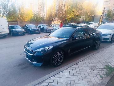 стингер 3.3 турбо: Kia Stinger: 2017 г., 2.2 л, Автомат, Дизель, Седан — 3