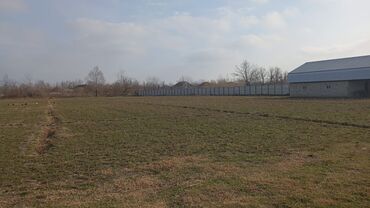 Anbar və emalatxanalar: 160mine Agdasda bu satisa cixarilib Evin hərşeyi var 35metr navesi — 10