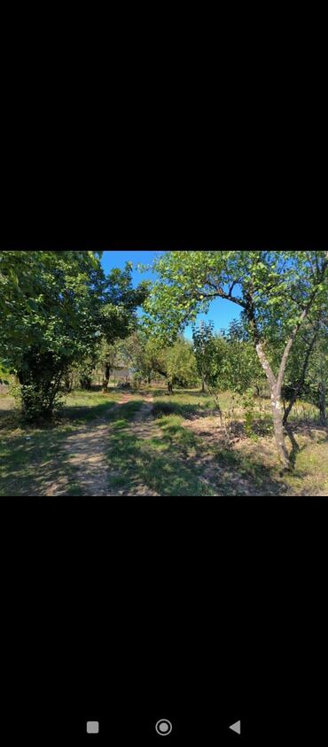 Bağ evlərinin satışı: Lənkəran rayonun Biləsər kəndinin mərkəzində Xanbulan gölünün — 2