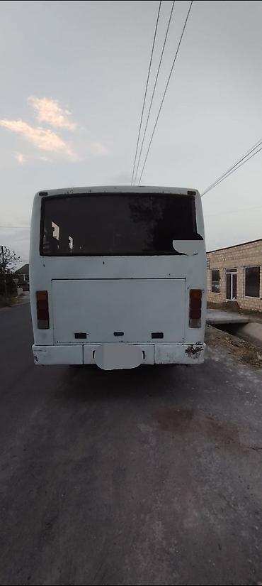 водитель такси: Marşrut/şəhərdaxili daşınma üçün orta ölçülü avtobus - Korpus: ağ — 4