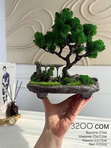 Декоративные цветы: Бонсай ручной работы из натурального стабилизированного мха от 1500 — 46