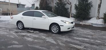 тойота альфред: Toyota Windom: 2003 г., 3 л, Автомат, Газ, Седан