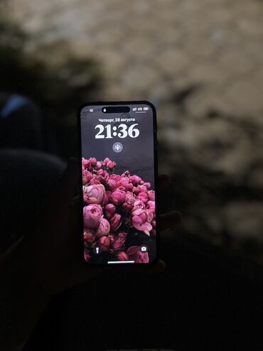балыкчы телефон айфон: IPhone 14 Pro Max, 256 ГБ, Кара
