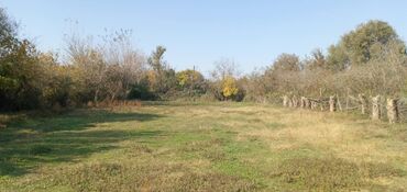 Torpaq sahələrinin satışı: 13 sot, Tikinti, Mülkiyyətçi, Kupça (Çıxarış) — 8