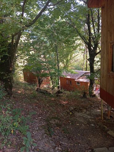 Uzunmüddətli kirayə evlər: 3000 kv. m, 3 otaqlı -da lalafo.az — 14 Uzunmüddətli kirayə evlər: 3000 kv. m, 3 otaqlı — 14