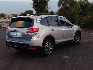 субару автомобиль: Subaru Forester: 2020 г., 2.5 л, Вариатор, Бензин, Кроссовер — 4