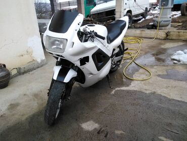bele farmerke zenske: Honda CBR 600 u dobrom stanju