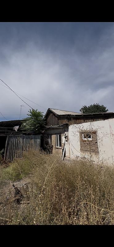толстого: 6 соток, Для строительства, Тех паспорт, Красная книга — 3
