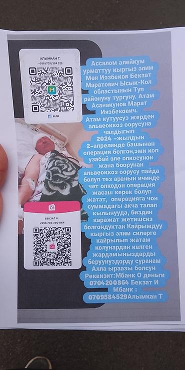 Пекарские шкафы: Конвекционная печь Perspective Convection Oven (модель EB-4A/EB-4AL) — 10