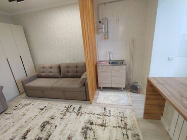 ак ордо жер уй: 1 комната, 26 м², Элитка, 2 этаж, Евроремонт