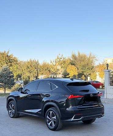 k7 2019: Lexus NX: 2019 г., 2.5 л, Вариатор, Гибрид, Кроссовер — 8