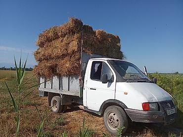 ГАЗ: ГАЗ GAZel 33023: 1999 г., 2.5 л, Механика, Дизель at lalafo.kg — 8 ГАЗ: ГАЗ GAZel 33023: 1999 г., 2.5 л, Механика, Дизель — 8