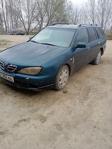 Nissan: Nissan Primera: 2001 г., Универсал — 9