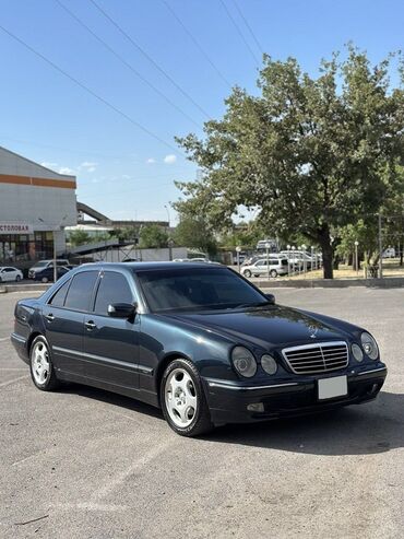 американская короткошёрстная кошка купить: Mercedes-Benz E-Class: 2001 г., 4.3 л, Автомат, Бензин, Седан