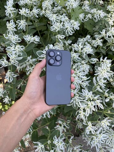самсунг z flip 5 цена в бишкеке: IPhone 15 Pro, Б/у, 128 ГБ, Black Titanium, Чехол, 89 %