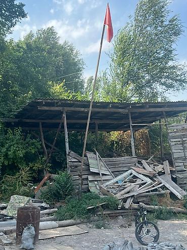 древесный: Даром отдам все дрова самовызов заберайте сегодня даром срочно срочно — 1