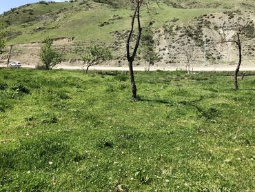 Torpaq sahələrinin satışı: 30 sot, Kənd təsərrüfatı, Mülkiyyətçi, Kupça (Çıxarış) -da lalafo.az — 7 Torpaq sahələrinin satışı: 30 sot, Kənd təsərrüfatı, Mülkiyyətçi, Kupça (Çıxarış) — 7