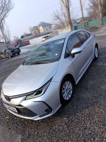 тойоту: Toyota Corolla: 2021 г., 1.5 л, Вариатор, Бензин, Седан