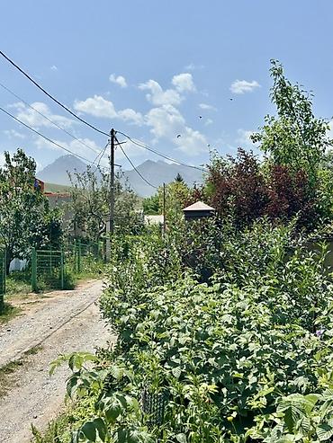 Продажа дач: Торг уместен!!! Продается дачный участок с домом, в Горной Маевке! — 9