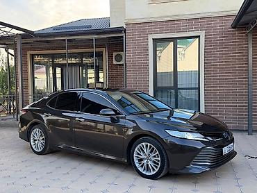 pirelli p zero: Toyota Camry: 2019 г., 2.5 л, Автомат, Гибрид, Седан — 2