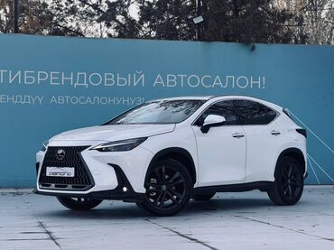 Lexus: Lexus NX: 2024 г., 2.5 л, Автомат, Бензин, Кроссовер — 2